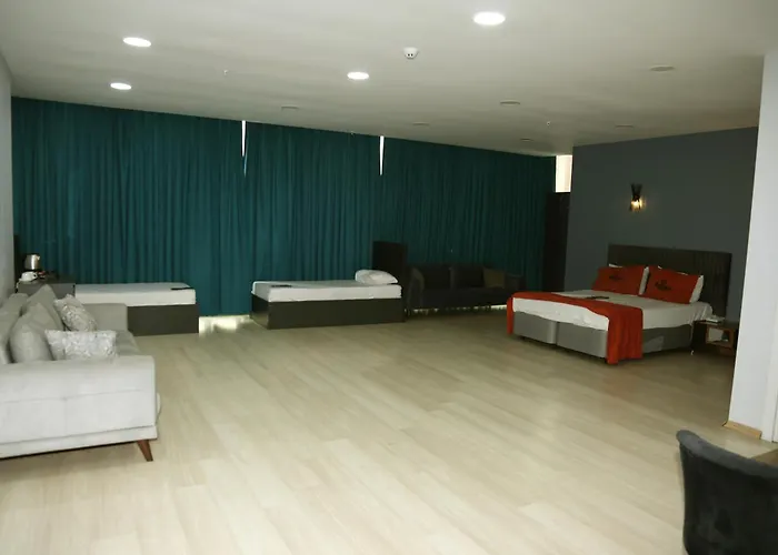 Zoom Airport 4* Istanbul